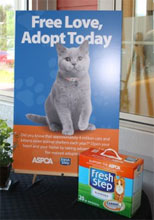 Asheville Humane is offering ALL cats 6+ months for adoption at NO ADOPTION FEE thru the end of June!